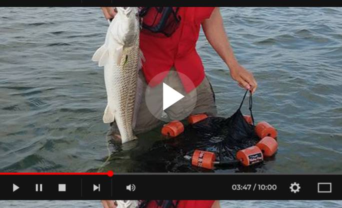 Load video: Using the Wading Ring